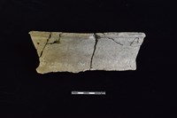 藏品(陶罐)的圖片